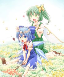 Rule 34 | 2girls, blue bow, blue dress, blue eyes, blue hair, bow, brown footwear, cirno, commentary request, daiyousei, dress, fairy wings, fang, field, flower, flower field, frog, green eyes, green hair, green skirt, hair bow, hair flower, hair ornament, head wreath, heart, ice, ice wings, kneeling, leaning forward, long hair, multiple girls, open mouth, puffy short sleeves, puffy sleeves, red neckwear, shoes, short dress, short sleeves, side ponytail, sitting, skirt, skirt set, smile, socks, squiggle, stick, sweatdrop, tamasan, touhou, v arms, vest, white legwear, wing collar, wings, yellow bow, yellow neckwear