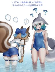 Rule 34 | 2girls, animal ears, blue eyes, brown hair, cetacean tail, chipmunk ears, chipmunk girl, chipmunk tail, common bottlenose dolphin (kemono friends), extra ears, fins, fish tail, gloves, grey hair, head fins, highres, kemono friends, kemono friends v project, multiple girls, nyororiso (muyaa), ribbon, shirt, short hair, shorts, siberian chipmunk (kemono friends), simple background, swimsuit, tail, thighhighs, translation request, vest, virtual youtuber
