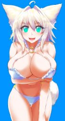 Rule 34 | 1girl, :d, ahoge, animal ears, bikini, blonde hair, blue background, blue eyes, blush, bracelet, breasts, commentary request, cowboy shot, fang, hair between eyes, hair intakes, highres, huge breasts, jewelry, leaning forward, minarai tenna, navel, o-ring, open mouth, original, short hair, simple background, smile, solo, swimsuit, tail, thigh gap, white bikini