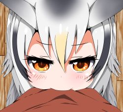 Rule 34 | 10s, 2girls, absurdres, biting, black hair, blonde hair, blush, brown eyes, commentary request, eurasian eagle owl (kemono friends), from above, hair between eyes, highres, kaban (kemono friends), kanna kamui, kemono friends, kobayashi-san chi no maidragon, looking at viewer, looking up, multicolored hair, multiple girls, northern white-faced owl (kemono friends), parody, pov, red shirt, shirt, silver hair, solo focus, wooden floor, yanmaa (yanmar195)