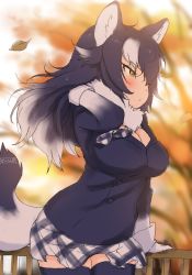 Rule 34 | 1girl, animal ears, autumn, autumn leaves, black hair, blurry, blurry background, breasts, cleavage, day, floating hair, from side, grey hair, grey wolf (kemono friends), hand in own hair, hand up, highres, jacket, kemono friends, large breasts, leaf, falling leaves, long sleeves, looking afar, masuyama ryou, microskirt, multicolored hair, necktie, orange eyes, outdoors, parted lips, plaid, plaid necktie, plaid neckwear, plaid skirt, railing, sketch, skirt, solo, tail, thighhighs, tree, two-tone hair, wind, wolf ears, wolf girl, wolf tail, zettai ryouiki