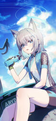 Rule 34 | 1girl, absurdres, animal ear fluff, animal ears, bicycle, bike jersey, bike shorts, blue archive, blue halo, blue sky, bottle, breasts, clothes writing, cross hair ornament, extra ears, feet out of frame, grey hair, hair between eyes, hair ornament, halo, highres, holding, holding bottle, mismatched pupils, official alternate costume, open mouth, pyytato, shiroko (blue archive), shiroko (cycling) (blue archive), short hair, short sleeves, sitting, sky, small breasts, solo, sweat, towel, towel around neck, two-tone gloves, wolf ears
