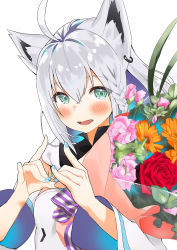 Rule 34 | 1girl, ahoge, animal ear fluff, animal ears, aqua nails, blush, bouquet, braid, commentary request, detached sleeves, double fox shadow puppet, flower, fox ears, fox shadow puppet, green eyes, hair between eyes, heart, heart hands, highres, holding, holding bouquet, hololive, looking at viewer, nail polish, open mouth, partial commentary, shirakami fubuki, shirakami fubuki (1st costume), silver hair, simple background, single braid, smile, solo, upper body, virtual youtuber, white background, wide sleeves, yoyoshi renga