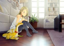 Rule 34 | 1girl, black pantyhose, blue eyes, blush, book, bookshelf, brown hair, closed mouth, collar, couch, day, dragon, hair ornament, hairclip, indoors, lamp, looking at viewer, original, pantyhose, plant, potted plant, sitting, solo, table, window, yoshida seiji
