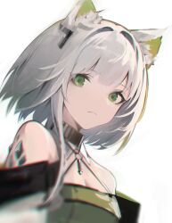 Rule 34 | 1girl, absurdres, animal ear fluff, animal ears, arknights, bare shoulders, black choker, blurry, cat ears, cat girl, choker, closed mouth, dress, expressionless, green dress, green eyes, green hair, grey hair, highres, kal&#039;tsit (arknights), looking at viewer, material growth, medium hair, migata, multicolored hair, off-shoulder dress, off-shoulder jacket, off shoulder, oripathy lesion (arknights), short hair, simple background, solo, upper body, white background