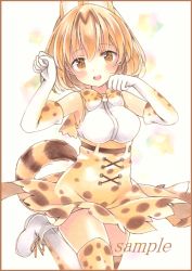 Rule 34 | 10s, 1girl, animal ears, ankle boots, armpits, bare shoulders, belt, blonde hair, boots, border, bow, bowtie, breasts, brown border, colored pencil (medium), cowboy shot, elbow gloves, gloves, hair between eyes, head tilt, kemono friends, looking at viewer, marker (medium), medium breasts, open mouth, paw pose, potto, sample watermark, sandstar, serval (kemono friends), serval print, serval tail, shirt, short hair, simple background, skirt, sleeveless, sleeveless shirt, solo, tail, thighhighs, traditional media, watermark, white background, yellow eyes