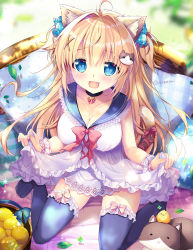 Rule 34 | 1girl, animal ears, blue eyes, blurry, blurry background, breasts, cat, cleavage, clothes lift, collarbone, dress, food, frilled dress, frilled skirt, frills, fruit, hair ornament, hairpin, highres, lace, lace-trimmed dress, lace-trimmed skirt, lace trim, large breasts, leaf, long hair, medium breasts, mikeou, no bra, open mouth, original, pillow, ribbon, skirt, skirt lift, sleeveless, sleeveless dress, smile, thighhighs, thighs, twitter username