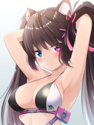 Rule 34 | 1girl, absurdres, animal ear fluff, animal ears, armpits, arms behind head, arms up, bare shoulders, bikini, black bikini, blue eyes, breasts, brown hair, cat ears, cat girl, chest harness, cleavage, closed mouth, collarbone, commentary request, goddess of victory: nikke, hair ornament, hair ribbon, hairclip, harness, heterochromia, highres, jitome, long hair, looking at viewer, medium breasts, nero (nikke), partial commentary, pouch, purple eyes, ribbon, sidelocks, simple background, solo, standing, stomach, string bikini, swimsuit, twintails, upper body, white background, yuyuchi (gyazaa)