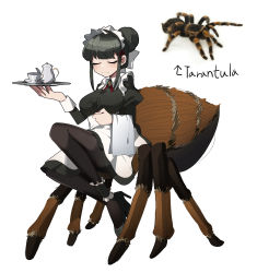 Rule 34 | 1girl, absurdres, ankle garter, apron, arachne, arthropod girl, arthropod limbs, bad id, bad pixiv id, black dress, black footwear, black pantyhose, blunt bangs, bow, bug, closed eyes, closed mouth, collared dress, cross tie, cup, dress, frilled apron, frills, full body, gomulgong, green hair, hair bow, hair bun, hands up, high heels, highres, holding, holding tray, insect girl, juliet sleeves, long sleeves, maid, maid headdress, monster girl, original, pantyhose, personification, photo inset, puffy sleeves, reference inset, sidelocks, simple background, sleeve cuffs, smile, solo, spider, spider girl, stiletto heels, tarantula, taur, tea set, teacup, teapot, tray, white apron, white background, white bow