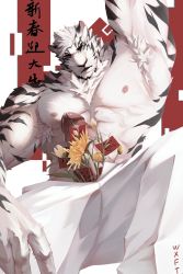 Rule 34 | 1boy, abs, animal ears, arknights, armpit hair, armpits, bara, chest hair, erection, feet out of frame, flower, fluffy, foreshortening, furry, furry male, happy new year, highres, large pectorals, looking at viewer, male focus, mountain (arknights), muscular, muscular male, navel, new year, nipples, one eye closed, pants, pectorals, penis, precum, short hair, solo, spread legs, stomach, tail, tiger boy, tiger ears, tiger tail, topless male, translation request, uncensored, waxianfanta, white fur, white hair, white pants, yellow flower