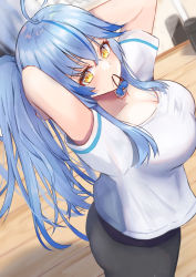 Rule 34 | 1girl, ahoge, arms behind head, arms up, blue hair, blush, breasts, cleavage, elf, flower, hair flower, hair ornament, hair tie in mouth, highres, hololive, large breasts, long hair, looking at viewer, mouth hold, pointy ears, ponytail, shirt, solo, sportswear, t-shirt, tying hair, virtual youtuber, white shirt, yellow eyes, yukihana lamy, yuzuki4no