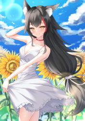 Rule 34 | 1girl, animal ear fluff, animal ears, arm behind head, arm up, black hair, blue sky, breasts, choker, closed mouth, cloud, day, dress, flower, frilled dress, frills, highres, hololive, lens flare, lis 111, long hair, low-tied long hair, medium breasts, multicolored hair, no tail, ookami mio, outdoors, red choker, sidelocks, skirt hold, sky, smile, solo, spaghetti strap, streaked hair, sundress, sunflower, sunlight, very long hair, virtual youtuber, white dress, wolf ears, wolf girl, yellow eyes