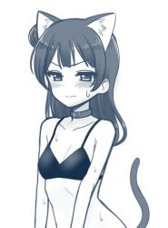 Rule 34 | &gt;:), 1girl, animal ears, bare arms, bare shoulders, bikini, bikini top only, blue theme, blush, breasts, buckle, cat ears, cat tail, cleavage, closed mouth, collar, deadnooodles, hair bun, long hair, looking at viewer, love live!, love live! sunshine!!, monochrome, side bun, simple background, single side bun, small breasts, solo, sweatdrop, swimsuit, tail, tsushima yoshiko, upper body, v-shaped eyebrows, white background