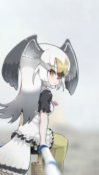 Rule 34 | 10s, 1girl, bird tail, bird wings, black-tailed gull (kemono friends), black hair, blonde hair, commentary request, dress, frilled dress, frills, grey hair, head wings, highres, jewelry, kemono friends, long hair, multicolored hair, necklace, pantyhose, photo-referenced, photo background, red hair, sailor collar, sailor dress, short sleeves, sitting, smile, solo, tail, tanaka kusao, white hair, wings, yellow eyes