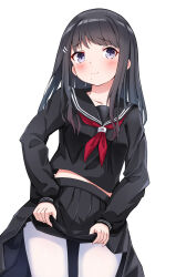 Rule 34 | 1girl, alternate hairstyle, black hair, black sailor collar, black shirt, black skirt, blush, breasts, closed mouth, clothes lift, collarbone, cowboy shot, dot nose, embarrassed, hair ornament, hairclip, highres, idolmaster, idolmaster shiny colors, jadeqilin, kazano hiori, long hair, long sleeves, looking at viewer, midriff peek, mole, mole under mouth, neckerchief, pantyhose, pleated skirt, purple eyes, red neckerchief, sailor collar, school uniform, serafuku, shirt, simple background, skirt, skirt lift, small breasts, solo, standing, white background, white pantyhose