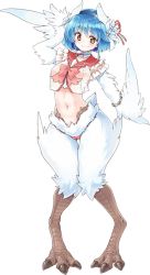Rule 34 | 1girl, artist request, bird legs, bird tail, blue hair, blush, feathers, flower, full body, hair between eyes, hair flower, hair ornament, hairband, harpy, lea (monster musume), looking at viewer, midriff, monster girl, monster musume no iru nichijou, monster musume no iru nichijou online, navel, official art, panties, pink panties, short hair, short tail, smile, solo, tail, transparent background, underwear, white feathers, white flower, white wings, wide hips, winged arms, wings, yellow eyes