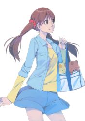 Rule 34 | 1girl, akinbo (hyouka fuyou), animal, bag, blue jacket, blue skirt, brown eyes, brown hair, cowboy shot, floating hair, hair ornament, hair scrunchie, highres, holding, holding bag, jacket, long hair, long sleeves, miniskirt, open clothes, open jacket, precure, precure all stars new stage: mirai no tomodachi, red scrunchie, sakagami ayumi, scrunchie, shirt, simple background, skirt, smile, solo, standing, twintails, white background, yellow shirt
