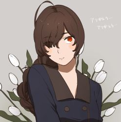 Rule 34 | 1girl, ahoge, blue coat, braid, brown hair, coat, commentary request, flower, grey background, hair over one eye, highres, kantai collection, light smile, long hair, looking at viewer, orange eyes, single braid, solo, souya (kancolle), sukekiyo (skky 0), tulip, upper body, white flower, white tulip
