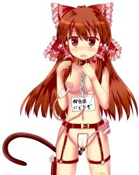 Rule 34 | 1girl, anal beads, anal tail, bdsm, blush, bondage, bound, breasts, brown hair, butt plug, catheter, collar, cowboy shot, facing viewer, fake tail, female focus, hakurei reimu, highres, kimamani, lactation, leash, long hair, looking at viewer, maebari, milking machine, nipples, open mouth, pee bag, peeing, red eyes, red hair, sex toy, simple background, slave, solo, standing, tail, tears, touhou, translated, urinary drainage bag, urine bag, vibrator, white background