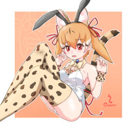 Rule 34 | 1girl, animal ears, bow, bowtie, brown eyes, brown hair, cat ears, cat girl, cat tail, extra ears, highres, kemono friends, kemono friends v project, kneehighs, large-spotted genet (kemono friends), leotard, looking at viewer, microphone, nokemono-san (bocchi friend), orange hair, playboy bunny, ribbon, simple background, socks, solo, tail, twintails, virtual youtuber