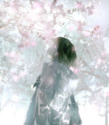 Rule 34 | 1girl, ahoge, black bag, branch, brown eyes, brown hair, cherry blossoms, closed mouth, coat, day, expressionless, highres, light particles, long sleeves, looking up, lvl229, original, outdoors, pink shirt, shirt, short hair, sky, solo, standing, strap, sunlight, tree, upper body, white coat, white sky