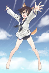 Rule 34 | 00s, 1girl, :d, animal ears, bare legs, barefoot, black neckerchief, black one-piece swimsuit, blue sky, blush, brown eyes, brown hair, cloud, day, dog ears, dog tail, feet, floating, full body, happy, highres, long sleeves, looking at viewer, midair, miyafuji yoshika, neckerchief, no pants, one-piece swimsuit, open mouth, outdoors, outstretched arms, satou atsuki, school swimsuit, short hair, sky, smile, solo, spread fingers, strike witches, swimsuit, swimsuit under clothes, tail, tareme, world witches series