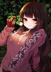 Rule 34 | 1girl, android, blunt bangs, breasts, brown hair, commentary request, gradient hair, hair between eyes, highres, hololive, hood, hoodie, horns, long hair, looking at viewer, multicolored hair, plant, roboco-san, roboco-san (hoodie), single horn, smile, solo, tagame (tagamecat), virtual youtuber, wavy hair, yellow eyes
