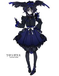 Rule 34 | 1girl, belt, bird girl, bird tail, bird wings, black footwear, black gloves, black hair, black pantyhose, black shirt, blue bow, blue eyes, blue skirt, bow, common raven (kemono friends) (pikmny8dsad1nv1), frilled skirt, frilled sleeves, frills, gloves, grey hair, grey socks, hair between eyes, hair bow, hand on own hip, head wings, high collar, highres, kemono friends, loafers, looking at viewer, monocle, multicolored hair, original, pantyhose, pikmny8dsad1nv1, pleated skirt, shirt, shoes, short hair, short hair with long locks, sidelocks, skirt, socks, solo, tail, translation request, two-tone hair, white belt, wings
