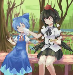 Rule 34 | 2girls, :t, bare tree, bench, black hair, black ribbon, black skirt, black wings, blue bow, blue dress, blue hair, blurry, bow, cirno, closed eyes, collared shirt, commentary request, depth of field, doughnut, dress, eating, food, grass, hair bow, hat, highres, ice, ice wings, juliet sleeves, long sleeves, looking at another, low wings, multiple girls, napkin, neck ribbon, pom pom (clothes), puffy sleeves, red eyes, red hat, red ribbon, ribbon, roke (taikodon), shameimaru aya, shirt, short hair, short sleeves, sitting, skirt, sleeveless, sleeveless dress, smile, tokin hat, touhou, tree, water, wetland, wings, wiping face