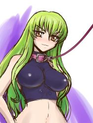Rule 34 | 1girl, animal collar, blush, breasts, brown eyes, c.c., code geass, collar, female focus, gradient background, green hair, halterneck, impossible clothes, large breasts, leash, light smile, long hair, solo, zero hime