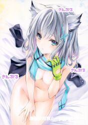Rule 34 | 1girl, animal ear fluff, animal ears, artist name, blue archive, blue eyes, blue scarf, breasts, from above, gloves, green gloves, grey hair, hair ornament, highres, looking at viewer, looking up, medium hair, navel, nude, on bed, scarf, shiroko (blue archive), sitting, small breasts, solo, traditional media, wolf ears, wolf girl, x hair ornament, yqgkg