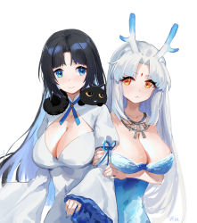 Rule 34 | 2girls, absurdres, black hair, blue dress, blue eyes, blue nails, blue ribbon, breasts, cat, center opening, cleavage, collarbone, commentary request, covered navel, dragon girl, dragon horns, dress, forehead, highres, holding another&#039;s arm, horns, jewelry, keruitemonu, large breasts, long hair, long sleeves, looking at another, multicolored eyes, multiple girls, nail polish, necklace, original, parted bangs, red eyes, ribbon, simple background, symbol-shaped pupils, white background, white dress, white hair, wide sleeves, yellow eyes, yuri