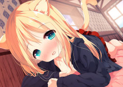 Rule 34 | 1girl, animal ear fluff, animal ears, bed sheet, black jacket, blonde hair, blue eyes, blurry, blurry background, blush, breasts, cat ears, cat girl, cat tail, chinomaron, convenient censoring, depth of field, dutch angle, head tilt, hood, hooded jacket, indoors, jacket, long hair, long sleeves, looking at viewer, lying, on stomach, open clothes, open jacket, original, parted lips, pleated skirt, red skirt, signature, skirt, sleeves past wrists, small breasts, solo, tail, tail raised, twitter username