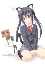 Rule 34 | animal ears, bad id, bad pixiv id, black hair, brown eyes, cat, cat ears, cat tail, k-on!, long hair, nakano azusa, placard, ruschuto, school uniform, sign, solo, tail, twintails
