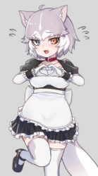 Rule 34 | 1girl, :3, :d, alternate costume, animal collar, animal ear fluff, animal ears, apron, back bow, black dress, black sleeves, blue eyes, blush, bow, collar, collarbone, cowboy shot, dog (mixed breed) (kemono friends), dog ears, dog girl, dog tail, dress, elbow gloves, enmaided, fang, flying sweatdrops, frilled apron, frilled dress, frills, gloves, grey hair, heart, heart hands, heterochromia, kemono friends, leg up, maid, maid apron, maid headdress, multicolored hair, nyifu, open mouth, puffy short sleeves, puffy sleeves, red neckwear, short hair, short sleeves, sleeve cuffs, smile, solo, standing, standing on one leg, tail, thighhighs, white gloves, white hair, white thighhighs, yellow eyes, zettai ryouiki