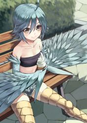 Rule 34 | 1girl, ahoge, bandeau, bare shoulders, bench, blue hair, blue wings, breasts, brown eyes, closed mouth, collarbone, commentary request, day, denim, denim shorts, fagi (kakikaki), feathered wings, feathers, food, harpy, ice cream, ice cream cone, looking at viewer, monster girl, monster musume no iru nichijou, outdoors, papi (monster musume), short hair, short shorts, shorts, sitting, small breasts, smile, solo, strapless, talons, tube top, winged arms, wings