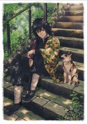 Rule 34 | 1boy, 234 (1234!), animal, arm on knee, black hair, black pants, black shirt, blue eyes, buttons, cat, closed mouth, dappled sunlight, day, expressionless, full body, gakuran, haori, high collar, highres, japanese clothes, kimetsu no yaiba, knees up, long hair, long sleeves, looking at another, male focus, open mouth, outdoors, pants, plant, railing, sandals, school uniform, sheath, sheathed, shirt, sitting, sitting on stairs, solo, stairs, sunlight, sword, tabi, tomioka giyuu, tree, tree shade, weapon, yawning
