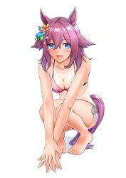 Rule 34 | 1girl, absurdres, alternate costume, animal ears, barefoot, bikini, blue eyes, breasts, cleavage, collarbone, commentary request, flower, hair between eyes, hair flower, hair ornament, highres, horse ears, horse girl, horse tail, looking at viewer, medium breasts, medium hair, open mouth, oryou gunsou, own hands together, pink hair, sakura chiyono o (umamusume), simple background, sitting, solo, swimsuit, tail, tan, tanline, umamusume, white background