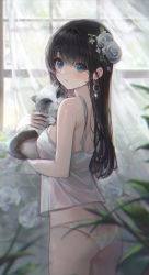 Rule 34 | 1girl, absurdres, animal, ass, blue eyes, blush, breasts, cat, curtains, earrings, flower, hair between eyes, hair flower, hair ornament, highres, holding, holding animal, holding cat, jewelry, long hair, looking at viewer, lunia, medium breasts, multicolored nails, nail polish, original, panties, plant, shirt, solo, sweat, thighs, underwear, white flower, white panties, white shirt