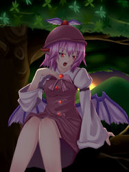 Rule 34 | 1girl, animal ears, aoi (concerto), aoi (pixiv), branch, dress, female focus, highres, knees, legs, long sleeves, music, mystia lorelei, open mouth, pink hair, red eyes, singing, sitting, solo, sunlight, touhou, tree, twilight, wide sleeves, wings