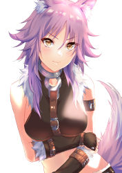 Rule 34 | 1girl, absurdres, animal ear fluff, animal ears, arm strap, arm under breasts, blush, breasts, closed mouth, collar, collarbone, fur-trimmed shorts, fur trim, highres, large breasts, looking at viewer, makoto (princess connect!), metal collar, midriff, princess connect!, purple hair, shorts, shunse, simple background, solo, tail, white background, wolf ears, wolf girl, wolf tail, yellow eyes