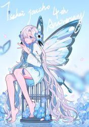 1girl barefoot birdcage blue_flower blue_hair bug butterfly butterfly_wings cage flower full_body grey_hair hair_flower hair_ornament highres insect insect_wings isekaijoucho kamitsubaki_studio long_hair looking_at_viewer misaku_nekosuki multicolored_hair nemophila_(flower) parted_lips sitting solo two-tone_hair very_long_hair wings