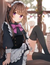 Rule 34 | 1girl, animal ear fluff, animal ears, apron, black dress, black ribbon, black thighhighs, blush, bow, bowtie, brown hair, cat ears, cat girl, cat tail, cup, dress, feet out of frame, frilled apron, frilled dress, frills, from side, hair ribbon, heripiro, highres, holding, holding cup, indoors, knee up, long sleeves, looking at viewer, looking to the side, maid, original, parted lips, pink bow, pink bowtie, puffy long sleeves, puffy sleeves, purple eyes, ribbon, sitting, solo, tail, tail raised, teacup, thighhighs, two side up, waist apron, window