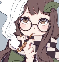 Rule 34 | 1girl, absurdres, brown eyes, brown hair, brown nails, checkered clothes, checkered scarf, fingernails, futatsuiwa mamizou, glasses, green kimono, grey background, highres, japanese clothes, kame (kamepan44231), kimono, leaf, leaf on head, long hair, looking at viewer, nail polish, one-hour drawing challenge, portrait, round eyewear, scarf, simple background, smoking, smoking pipe, solo, touhou