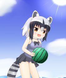 Rule 34 | 10s, 1girl, :d, adapted costume, animal ears, bare arms, bare shoulders, black bow, black hair, blue sky, blush, bow, breasts, brown eyes, casual one-piece swimsuit, cloud, common raccoon (kemono friends), cowboy shot, day, extra ears, fang, food, fruit, grey hair, highres, holding, holding food, holding fruit, kemono friends, looking at viewer, multicolored hair, ocean, one-piece swimsuit, open mouth, outdoors, purple one-piece swimsuit, raccoon ears, raccoon girl, raccoon tail, shin01571, sky, small breasts, smile, solo, standing, sun, sunlight, swimsuit, tail, two-tone hair, watermelon