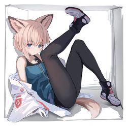 Rule 34 | 1girl, absurdres, ahoge, animal ears, arknights, black footwear, black pantyhose, blue eyes, blue shirt, box, brown hair, commentary, fox ears, fox girl, fox tail, full body, gloves, highres, in box, in container, jacket, leg up, light blush, looking at viewer, material growth, off shoulder, open clothes, open jacket, oripathy lesion (arknights), pantyhose, shirt, shoes, solo, sussurro (arknights), symbol-only commentary, tail, takashima shoa, two-tone footwear, white footwear, white gloves, white jacket, zipper, zipper pull tab