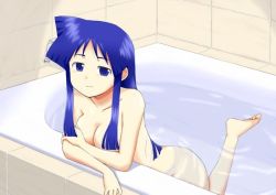 Rule 34 | 1girl, aizawa chizuru, bath, breasts, shinryaku! ikamusume