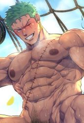 Rule 34 | 1boy, abs, bara, blush, completely nude, cropped, dumbbell, earrings, exercising, firenzesaika, green hair, grin, jewelry, large pectorals, looking at viewer, male focus, male pubic hair, muscular, muscular male, navel, nipples, nude, one eye closed, one piece, pectorals, pubic hair, roronoa zoro, scar, scar across eye, scar on chest, scar on face, short hair, smile, solo, sunlight, sweat, teeth, weightlifting