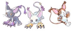 Rule 34 | animal ears, blacktailmon, cat, cat ears, digimon, digimon (creature), gloves, holy ring, jewelry, mikemon, ring, tail, tailmon