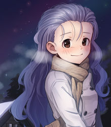 Rule 34 | 1girl, blush, breasts, brown eyes, brown scarf, character request, closed mouth, coat, commission, copyright request, grey hair, kamille (vcx68), long hair, looking at viewer, medium breasts, night, night sky, outdoors, princess maker (series), princess maker 3, scarf, sky, smile, solo, upper body